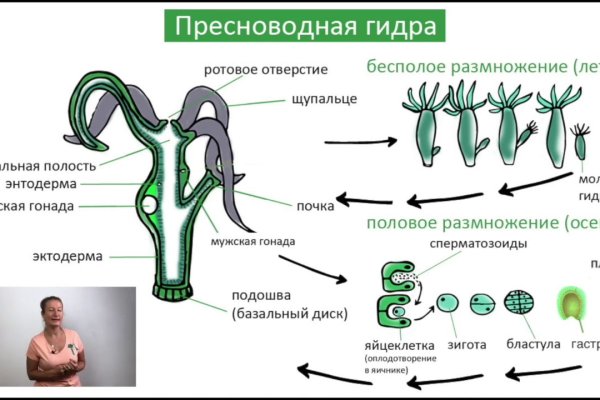 Кракен сайт даркнет зеркало